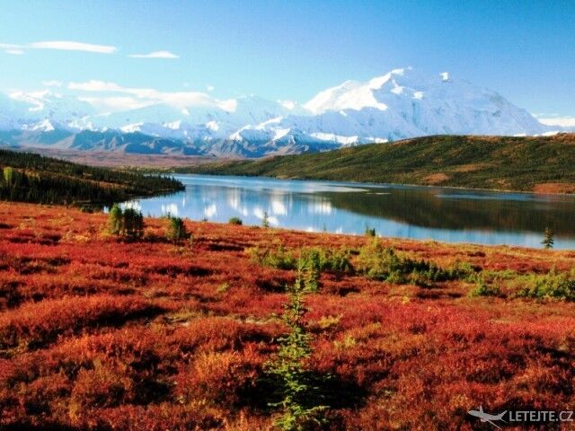 V létě je Aljaška barevná a porostlá bylinami, autor: nationalatlas