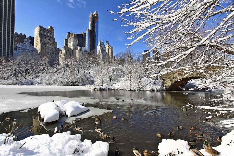 Central Park v New Yorku